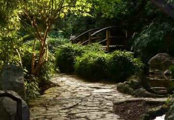 The Botanical Gardens