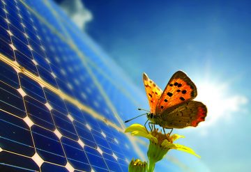 Energy Efficient Homes