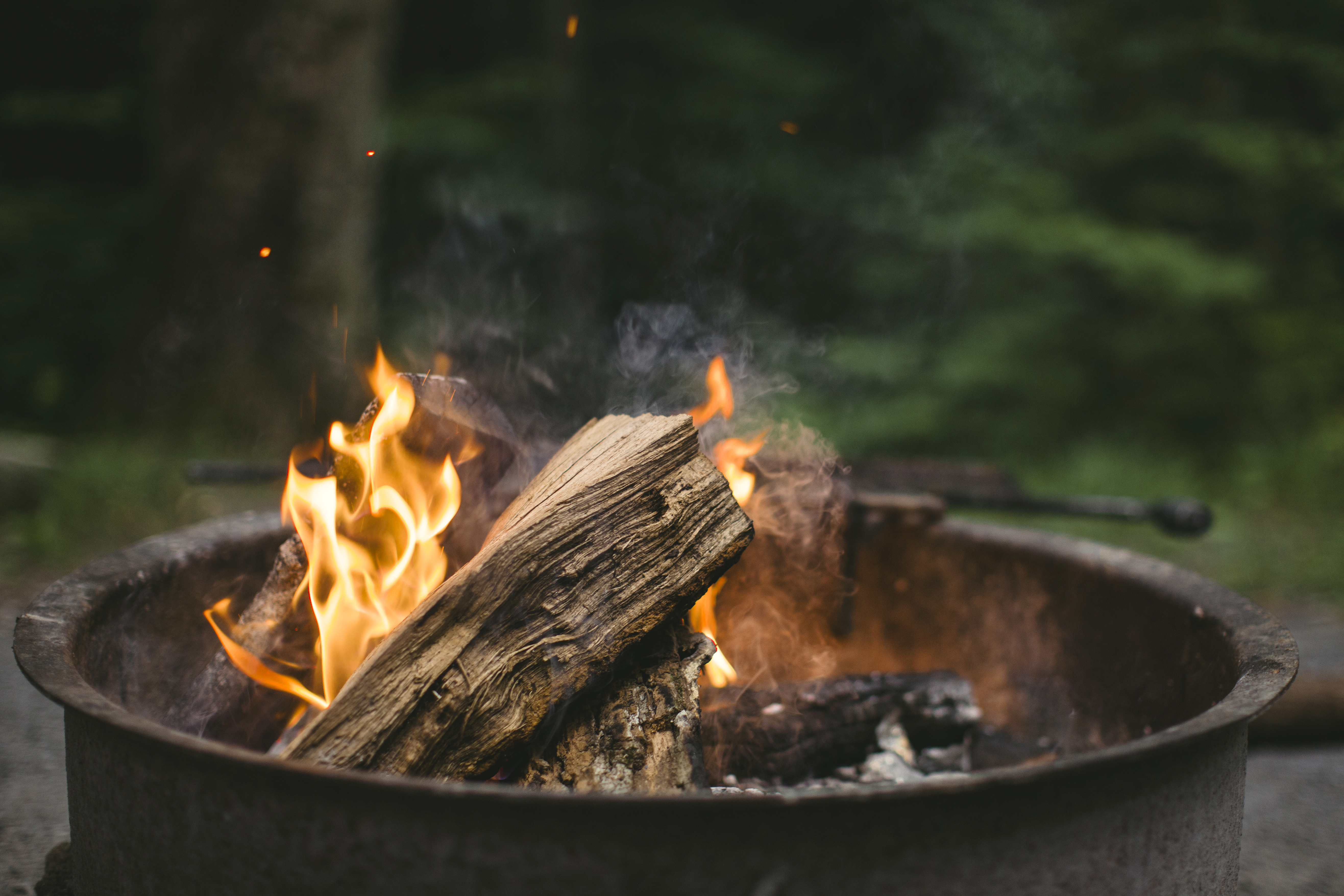 A photo by roya ann miller. unsplash.com/photos/Rdsc2L517iQ