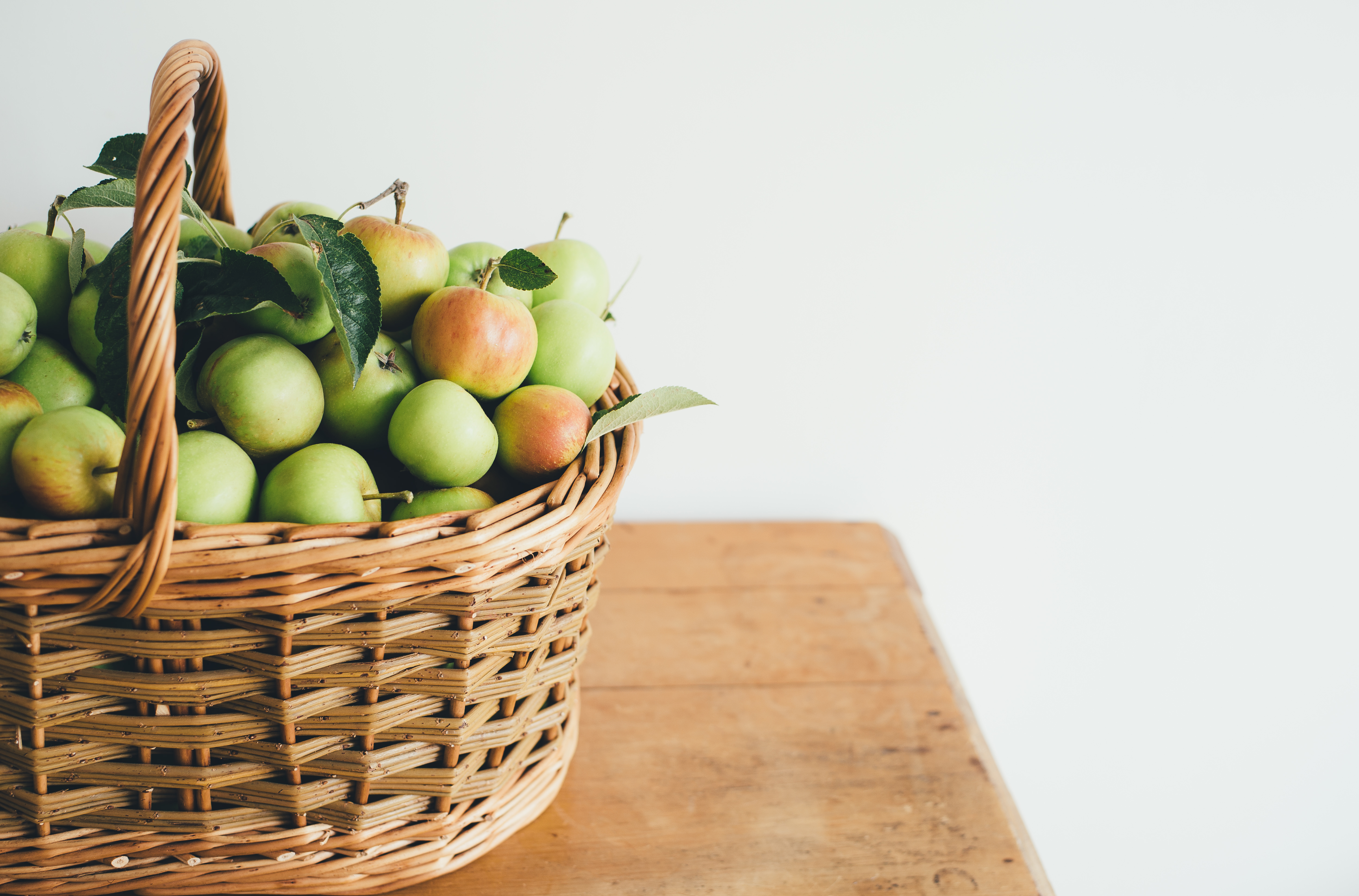 A photo by Annie Spratt. unsplash.com/photos/SVR0YpsHH-8