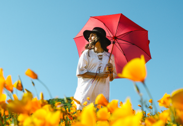 spring