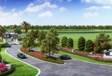 CORKSCREW IN ESTERO