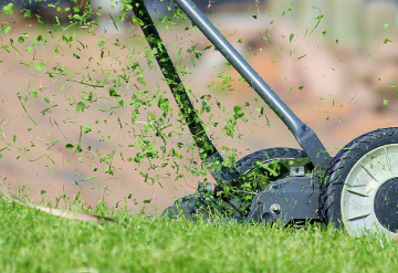 Fall Landscaping Checklist