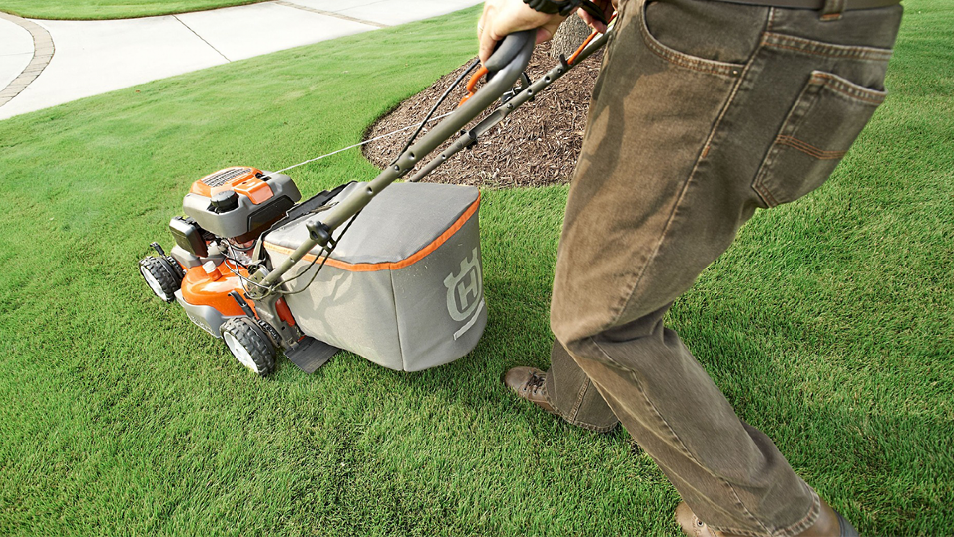 revive your lawn