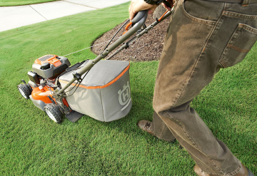 revive your lawn