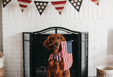 celebrate your new home