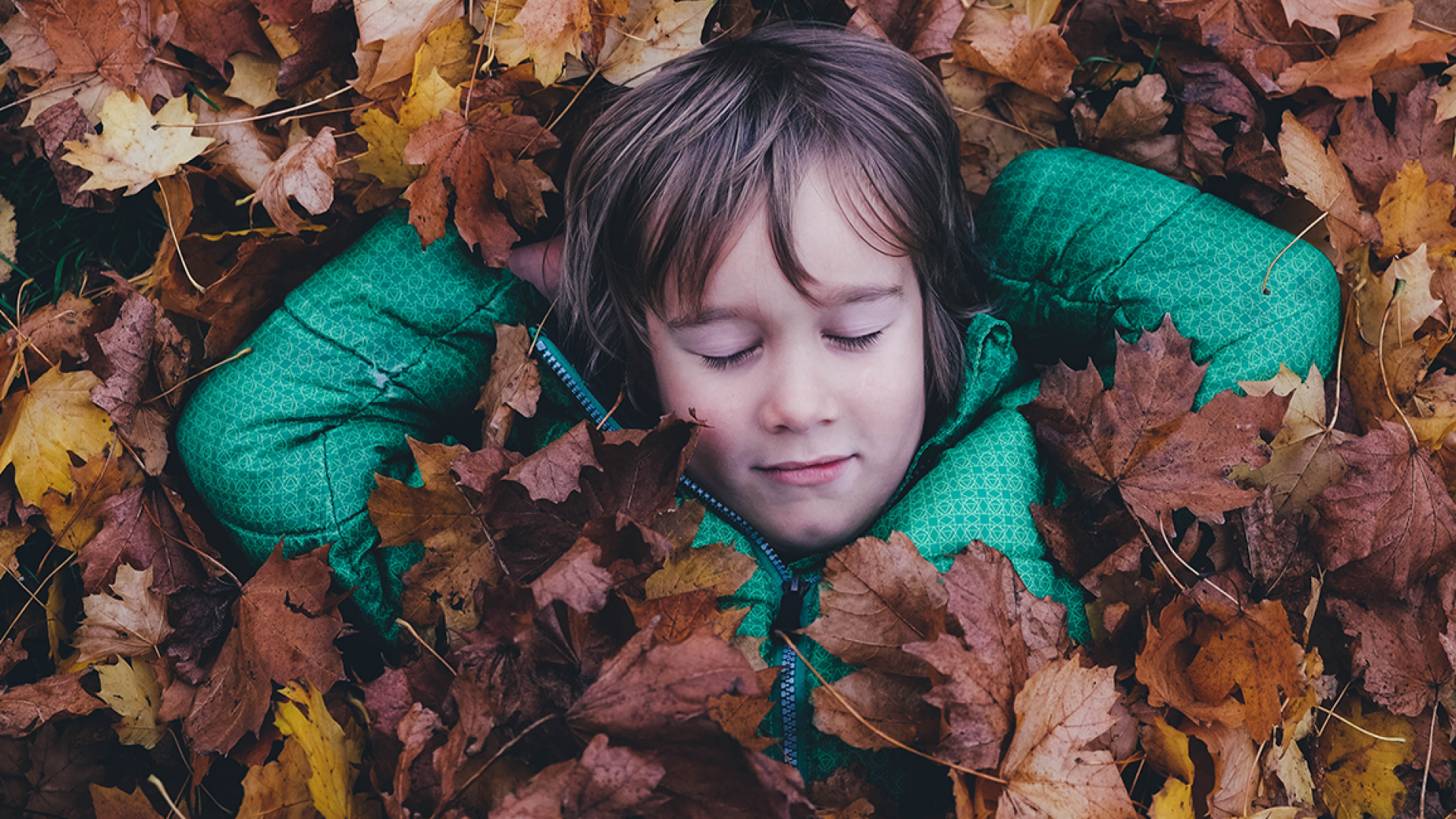 prep your home for fall