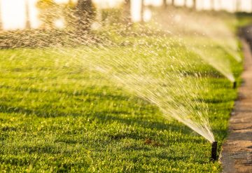 Tampa lawn care tips for winter