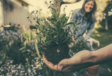 Lennar Atlanta Spring gardening tips
