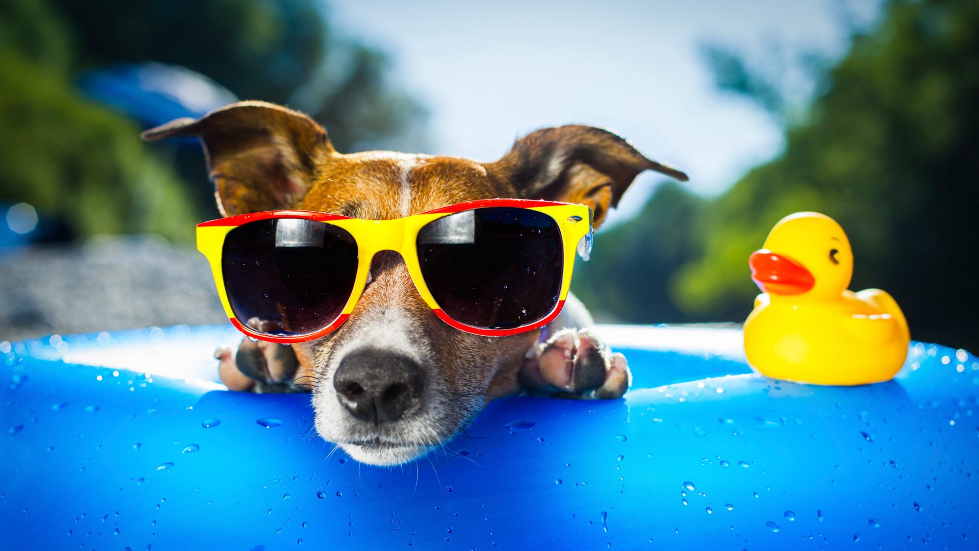 Labor Day with Lennar