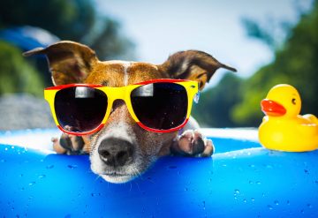 Labor Day with Lennar