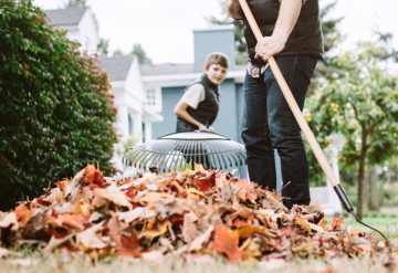 Fall home maintenance in Tampa