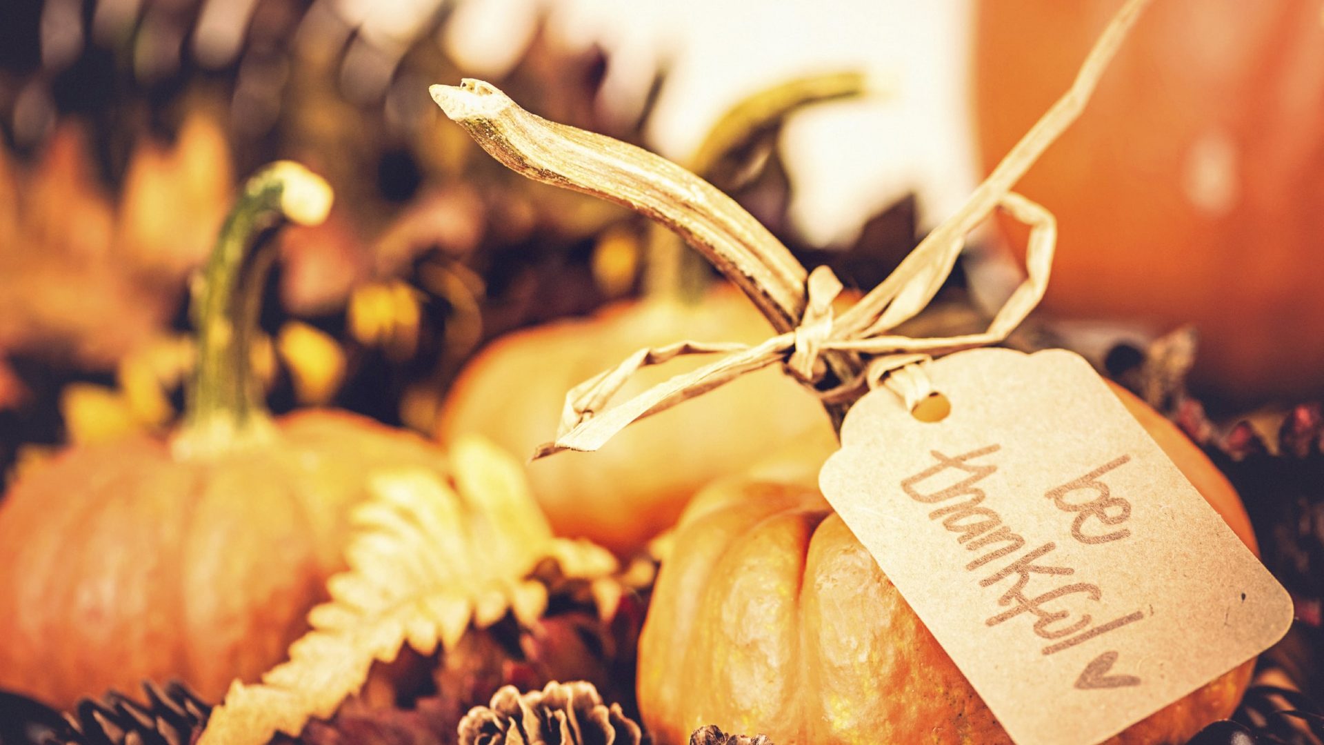 Thanksgiving at home